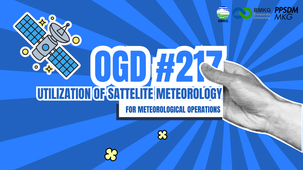 #217 - Met OGD #217 | RFG – Utilization of Sattelite Meteorology for Meteorological Operations