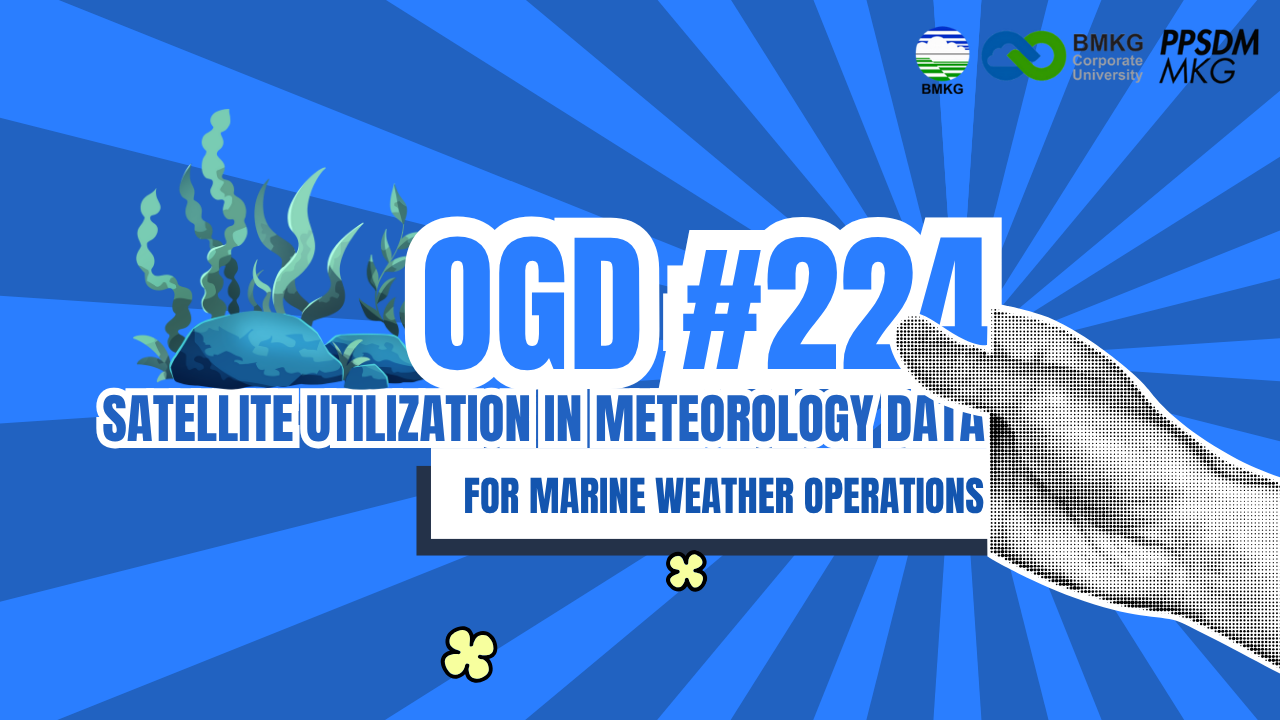#224 - Met OGD #224 | RFG – Satellite Utilization in Meteorology Data for Marine Weather Operations