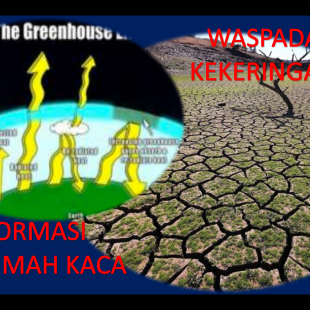 Pelatihan Teknis Klimatologi Tahun 2020