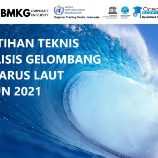 Pelatihan Teknis Analisis Gelombang dan Arus Laut Tahun 2021