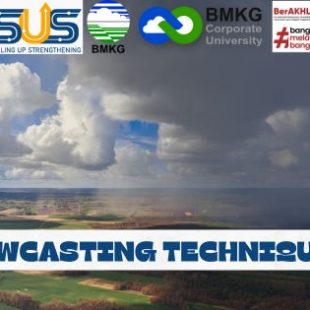 NOWCASTING TECHNIQUES