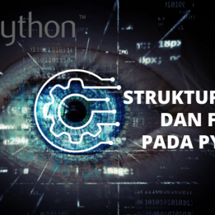 Struktur Data dan Fungsi pada Python