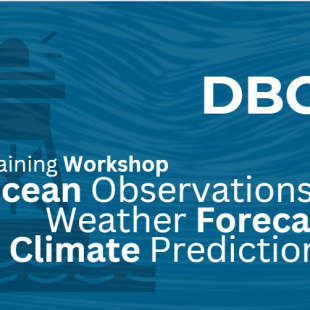 Data Buoy Cooperation Panel (DBCP) Training Workshop on Ocean Observations for Weather Forecast and Climate Prediction 2024